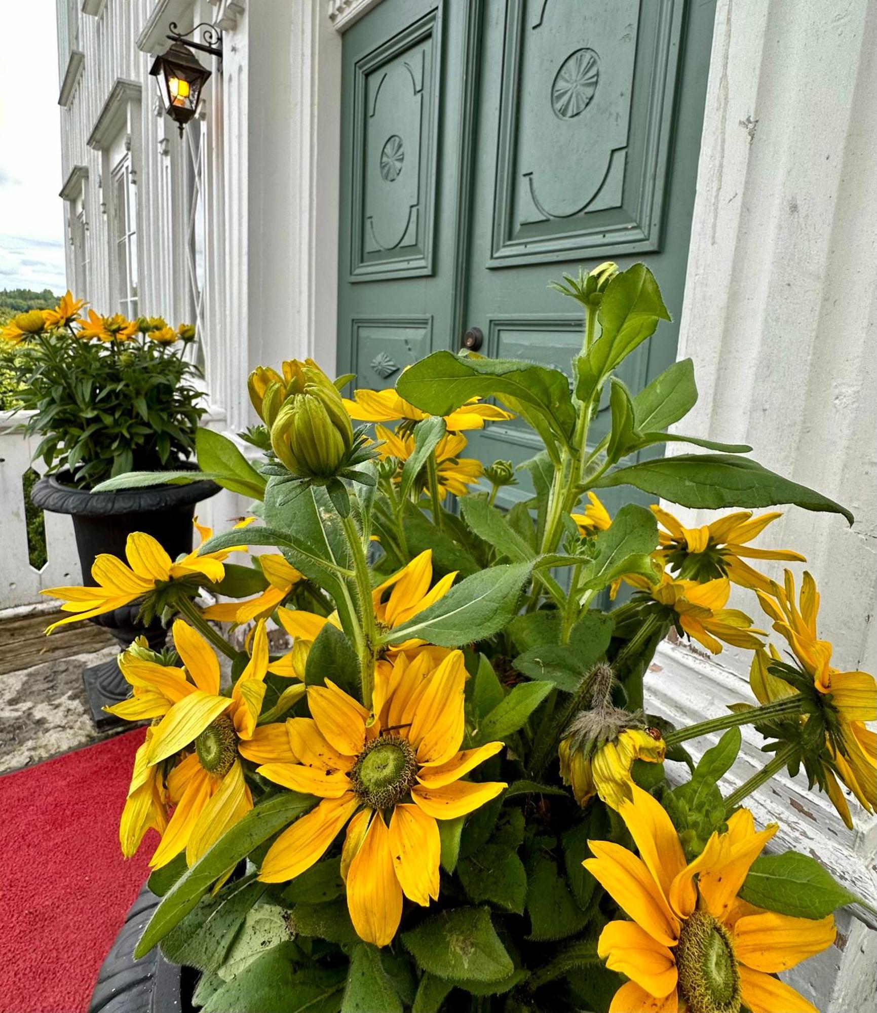 Kinna Bed & Breakfast المظهر الخارجي الصورة